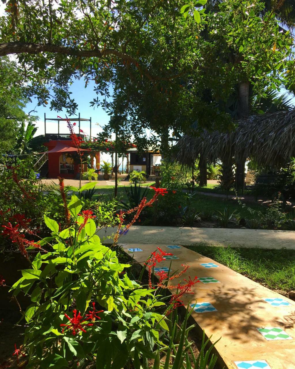 Katamah Beachfront Guesthouse Treasure Beach Zewnętrze zdjęcie