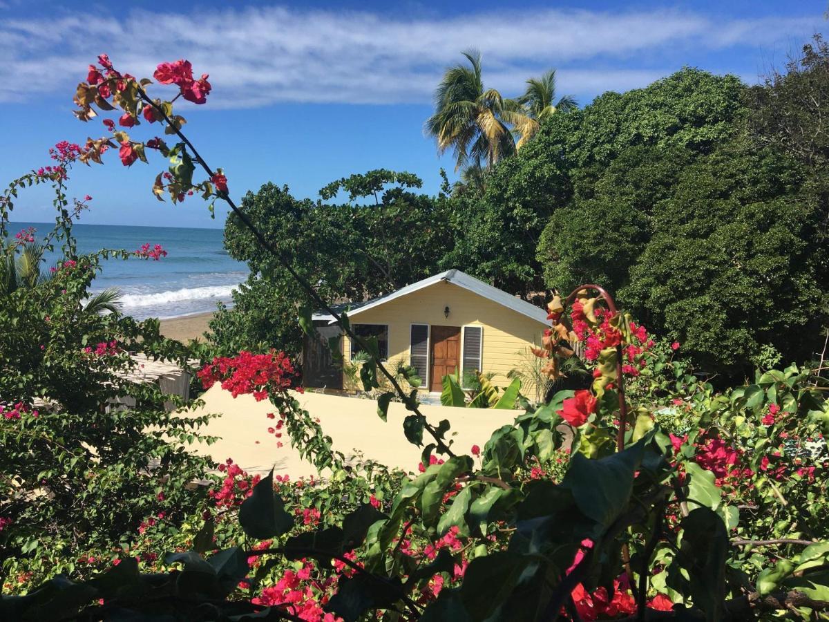 Katamah Beachfront Guesthouse Treasure Beach Zewnętrze zdjęcie